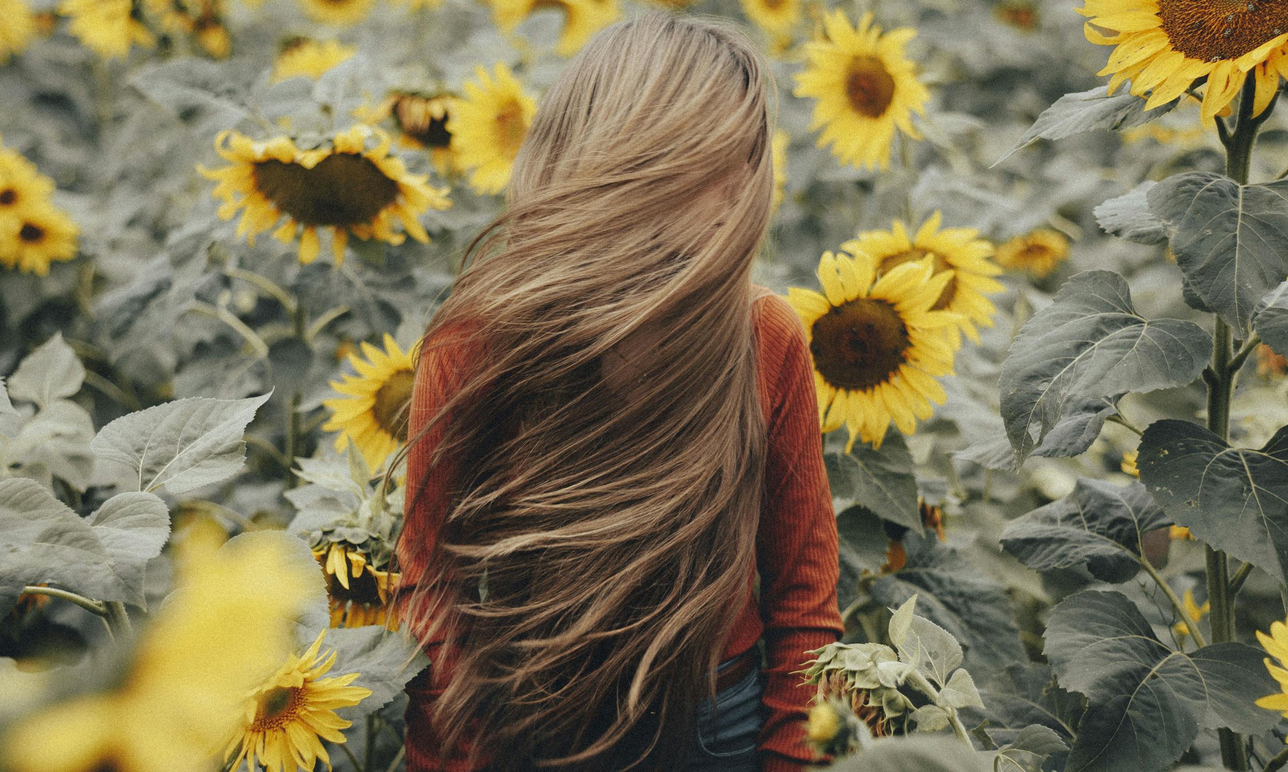 A girl with long hair stands amidst vibrant sunflowers, capturing summer's essence.