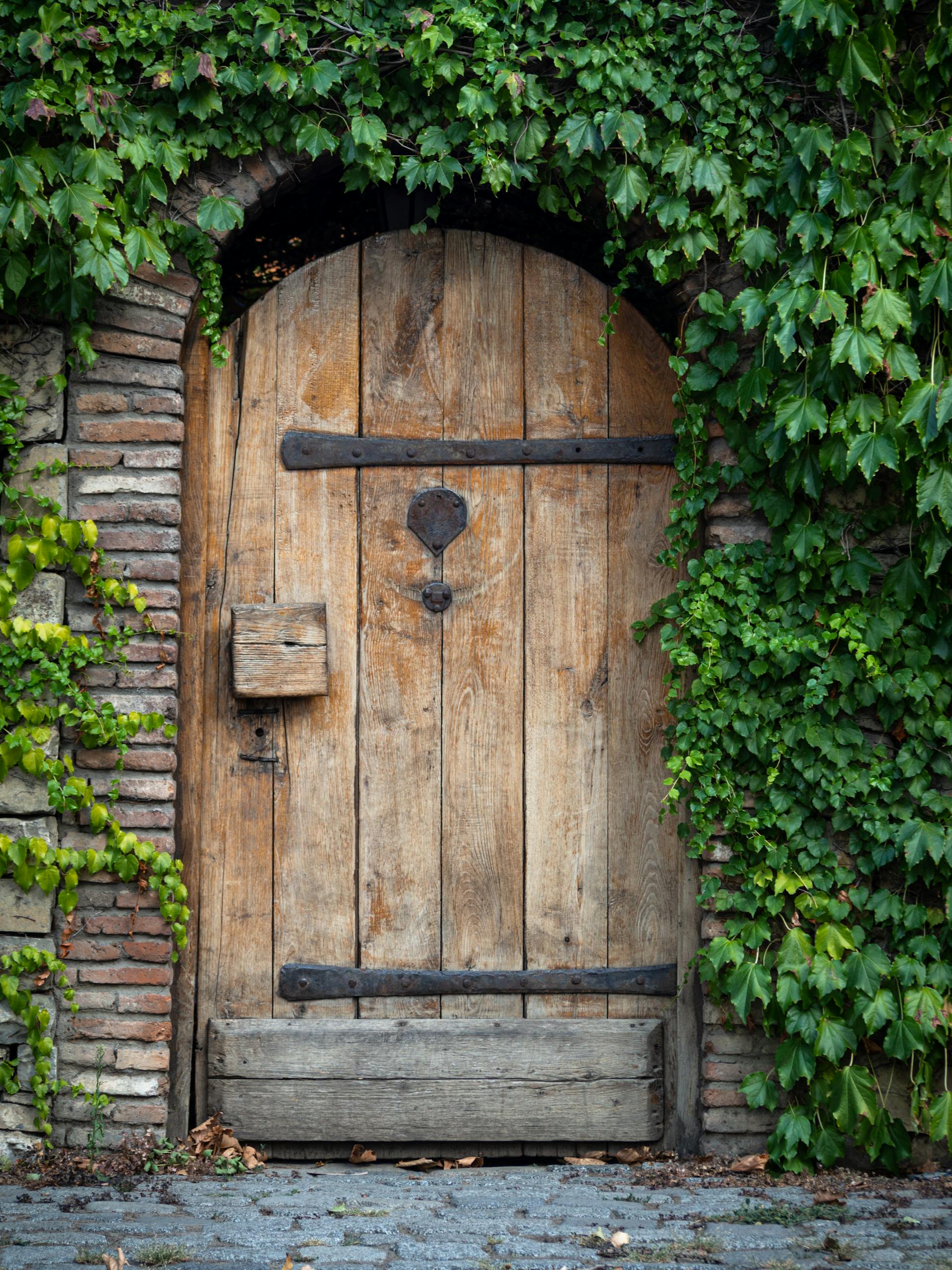 Charming wooden door enveloped in lush green ivy, creating a rustic, natural aesthetic.